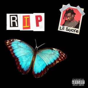 吹潮喷水高潮HD黑人
