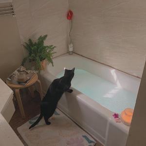 吹潮喷水高潮HD黑人
