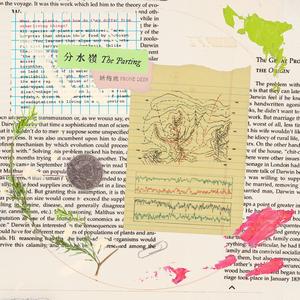 吹潮喷水高潮HD黑人
